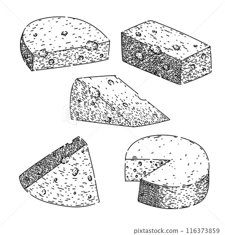 cheese set sketch hand drawn vector 116373859