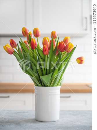 A beautiful bouquet of red and yellow tulips in a white vase on a blue wooden countertop  116373940