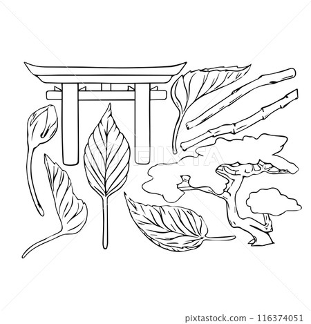 Vector Japanese ink illustration set. Torii Gate, leaves and Bonsai tree of Pine in line art style, sketch, chalkboard style. Isolated object EPS vector. Black outline 116374051