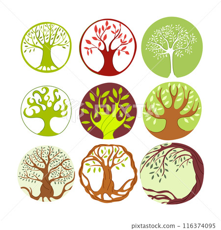 tree of life set cartoon vector illustration 116374095