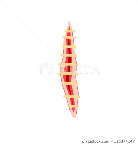cut suture cartoon vector illustration 116374147