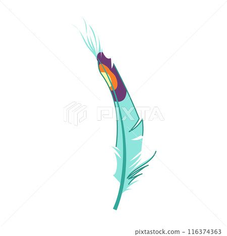 texture peacock feather cartoon vector illustration texture peacock feather cartoon vector illustration 116374363