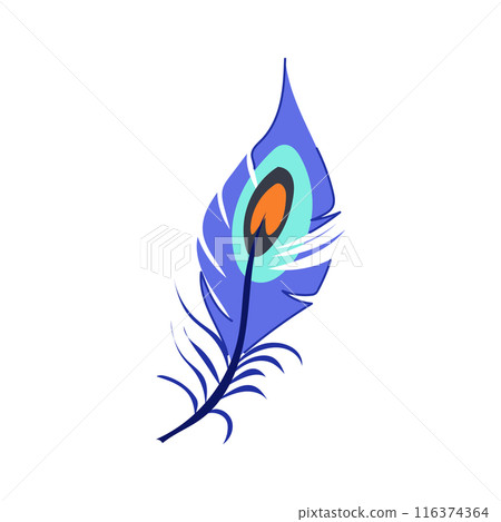 black peacock feather cartoon vector illustration black peacock feather cartoon vector illustration 116374364