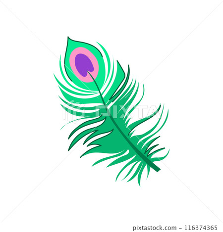 abstract peacock feather cartoon vector illustration 116374365