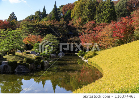 Autumn leaves of the Japanese Pair of Circles at Mihara Sankeien Gardens in Hiroshima Prefecture Autumn leaves of the Japanese Pair of Circles at Mihara Sankeien Gardens in Hiroshima Prefecture 116374465