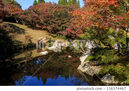 廣島縣三原三溪園日本花園的秋葉 116374467