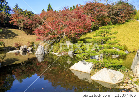 Autumn foliage in the Japanese garden at Mihara Sankeien in Hiroshima Prefecture Autumn foliage in the Japanese garden at Mihara Sankeien in Hiroshima Prefecture 116374469