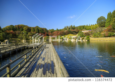 Autumn foliage in the Japanese garden at Mihara Sankeien in Hiroshima Prefecture Autumn foliage in the Japanese garden at Mihara Sankeien in Hiroshima Prefecture 116374472