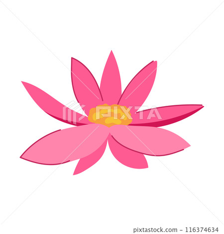 water lotus flower cartoon vector illustration water lotus flower cartoon vector illustration 116374634