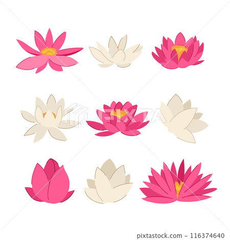 lotus flower set cartoon vector illustration 116374640