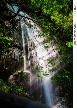 Hochikyo Fudo Waterfall Hochikyo Fudo Waterfall 116374690