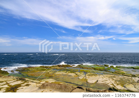 (Shizuoka Prefecture) Senjojiki and the beautiful sea of Ebisu Island, Shimoda, Izu (Shizuoka Prefecture) Senjojiki and the beautiful sea of Ebisu Island, Shimoda, Izu 116374776