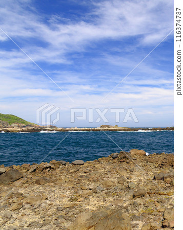 （靜岡縣）千疊敷下田、伊豆、惠比壽島的美麗海 116374787