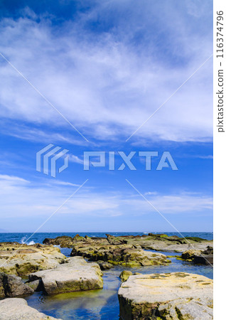 (Shizuoka Prefecture) Senjojiki and the beautiful sea of Ebisu Island, Shimoda, Izu (Shizuoka Prefecture) Senjojiki and the beautiful sea of Ebisu Island, Shimoda, Izu 116374796