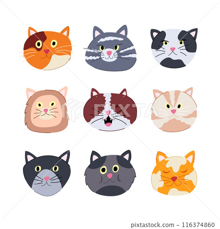 cat face set cartoon vector illustration 116374860