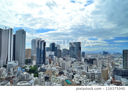 Tokyo Shinjuku: View of Shinjuku Subcenter from Kabukicho Tower Tokyo Shinjuku: View of Shinjuku Subcenter from Kabukicho Tower 116375040