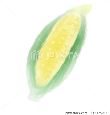 Hand-drawn watercolor illustration of corn 116375063