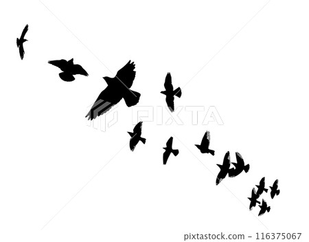 Flying birds silhouette flock. hand drawing. Not AI. Vector illustration Flying birds silhouette flock. hand drawing. Not AI. Vector illustration 116375067