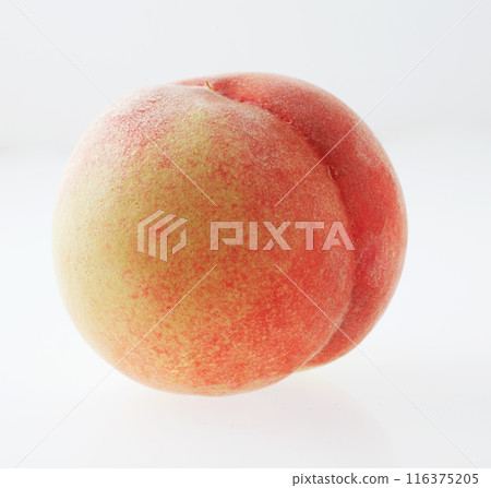 Peach white background 116375205