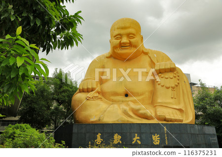 台灣台中寶藏寺金佛 116375231