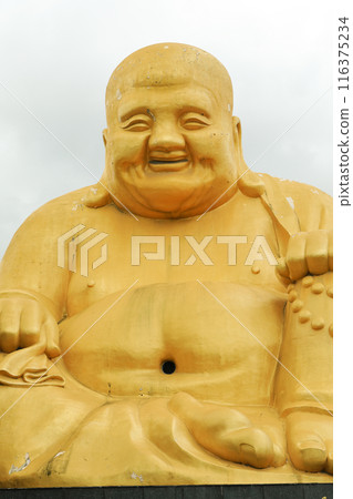 台灣台中寶藏寺金佛 116375234