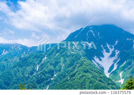 [Mountain material] Sea of clouds and Shirouma Sanzan seen from Mt. Kotomiyama [Nagano Prefecture] 116375579