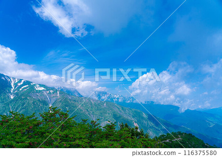 [Mountain material] Sea of clouds and Shirouma Sanzan seen from Mt. Kotomiyama [Nagano Prefecture] 116375580
