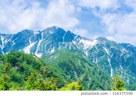 [山素材]從琴宮山看到的雲海和白馬三山【長野縣】 116375590