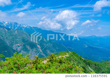 [山素材]從琴宮山看到的雲海和白馬三山【長野縣】 116375591
