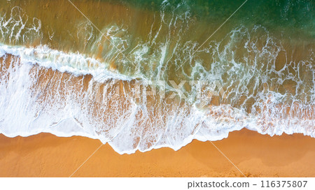 Serene Aerial View of an Empty Ocean Beach 116375807