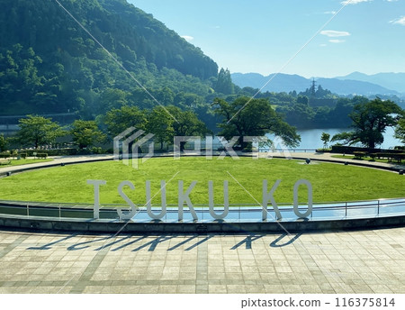 The grass field at Lake Tsukui Shiroyama Park 116375814