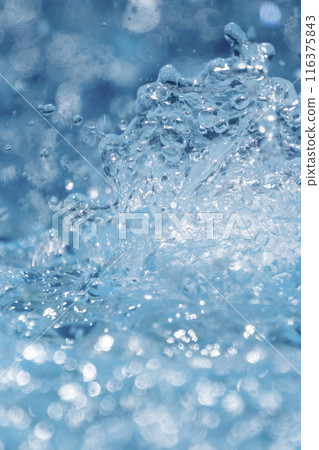 Sparkling summer images Sparkling summer images 116375843