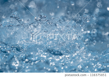 閃閃發光的夏日形象 116375851