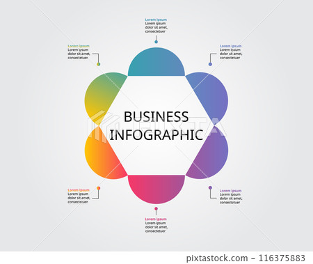 hexagon shape template for business infographic for presentation for 6 element hexagon shape template for business infographic for presentation for 6 element 116375883