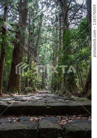 Kumano Kodo Wakayama Prefecture Kumano Kodo Wakayama Prefecture 116376009