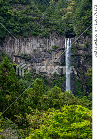 Nachi Falls, Wakayama Prefecture Nachi Falls, Wakayama Prefecture 116376172