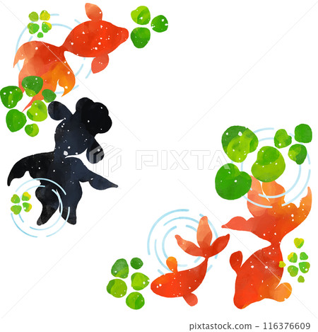Top view of swimming goldfish and aquatic plants cartoon 116376609