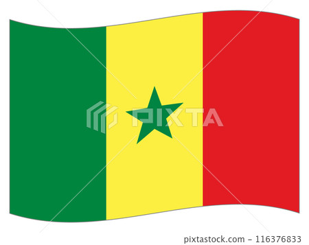 世界國旗 塞內加爾國旗 116376833