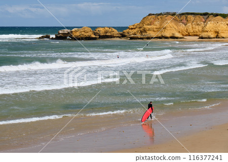 Surf Beach - Torquay Surf Beach - Torquay 116377241