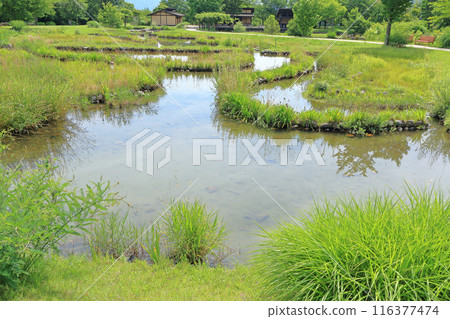 National Alps Azumino Park Horikin and Hotaka Area Pond in the Rural Culture Zone 116377474