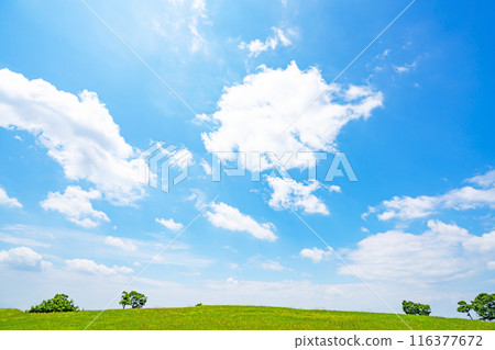 夏天藍天和草甸 夏天藍天和草甸 116377672