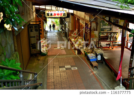 神奈川縣小山阿夫利神社科馬參道風景 神奈川縣小山阿夫利神社科馬參道風景 116377775
