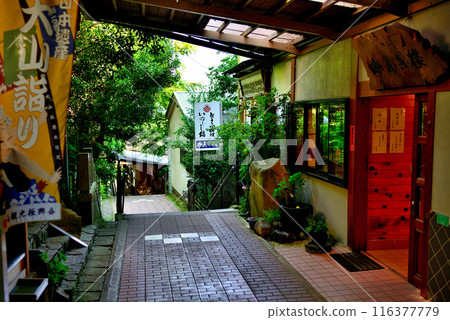 神奈川縣小山阿夫利神社科馬參道風景 116377779