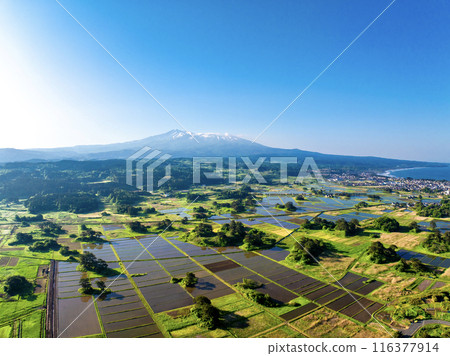 Mt. Chokai and Kujukushima in the early morning (Nikaho City, Akita Prefecture) Mt. Chokai and Kujukushima in the early morning (Nikaho City, Akita Prefecture) 116377914