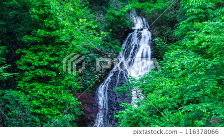 Nanataki Falls (Osaka Town, Akita Prefecture) Nanataki Falls (Osaka Town, Akita Prefecture) 116378066