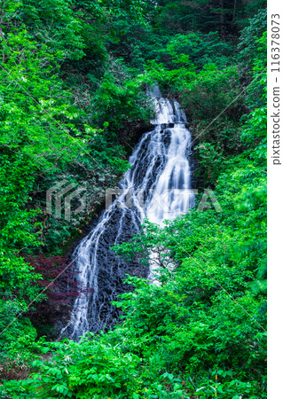 Nanataki Falls (Osaka Town, Akita Prefecture) 116378073