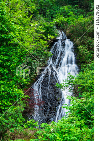 Nanataki Falls (Osaka Town, Akita Prefecture) 116378082