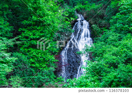 七瀧（秋田縣小坂町） 116378103