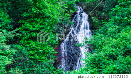 七瀧（秋田縣小坂町） 116378113