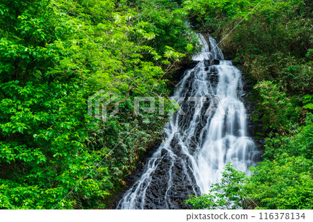 Nanataki Falls (Osaka Town, Akita Prefecture) 116378134